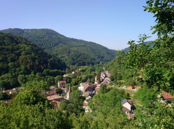 Excursión Senderismo Ferrières-Saint-Mary - Cantal - Ferrières-Saint-Mary - Gorges de la Bouzaire - 7.7km 350m 2h50 - 2019 07 01 - Photo