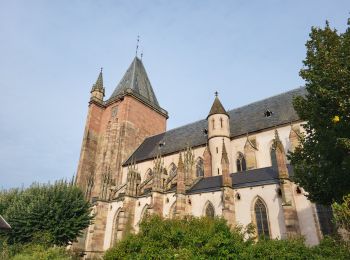 Percorso Marcia Niederhaslach - Niederhaslach - châteaux Ringelstein - Rochers du Pfaffenlapp et du Breitberg - Photo