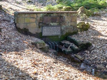 Randonnée A pied Grasellenbach - Rundwanderweg Grasellenbach 8: Erlebniswanderweg Fürth-Grasellenbach - Photo