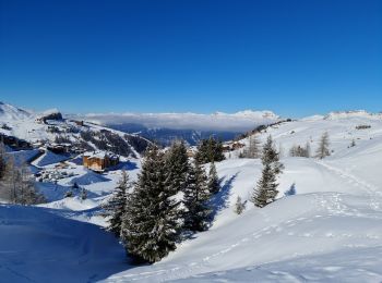 Trail Nordic walking La Plagne-Tarentaise - La Plagne 1800 Le Dou du Praz (boucle) - Photo