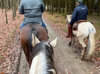 Randonnée Randonnée équestre Bastogne - Tripoux décembre 2022 - Photo