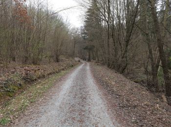 Tocht Te voet Ober-Mörlen - Wanderwege Vogeltal - Eichenblatt - Photo