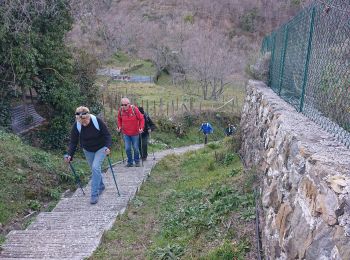 Tocht Stappen Utelle - Chapelle Saint Antoine  - Photo