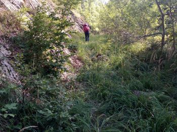 Tour Wandern Saint-Pierre-d'Entremont - col cucheron grande Som_col de Bevinant_Col de fret - Photo