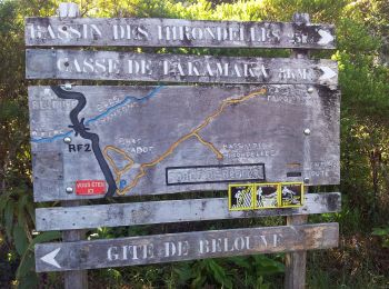 Trail On foot Saint-Benoît - sentier de Takamaka - Photo