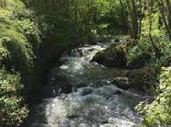 Trail Walking Pommeuse - La Promenade du Grand Morin et la Cascade de l'Aubetin - Photo