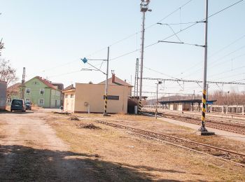 Tocht Te voet Kolín - [Ž] Kolín - Záboří nad Labem - Photo