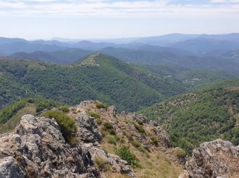 Trail Walking Val-d'Aigoual - Favieres Col Homme mort Bonperrier par crête Lacan - Photo