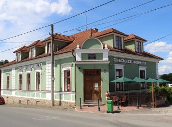 Tour Zu Fuß Totschnik - [Z] Točník - Skryje - Photo