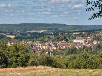 Randonnée Marche Rémalard en Perche - Autour du Bois St Georges 9.2 Km - Photo