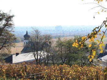 Tour Zu Fuß Gemeinde Guntramsdorf - Runnersfun Runde (Guntramsdorf) - Photo