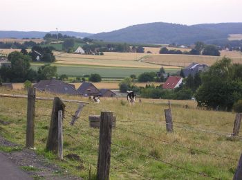 Tocht Te voet Lübbecke - A3 Preußisch Oldendorf-Holzhausen - Photo