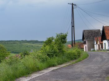 Randonnée A pied Gyöngyöspata - SC (Gyöngyöspata) - Photo