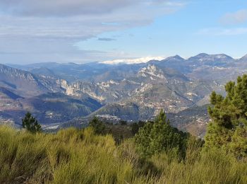 Randonnée Marche Aspremont - CIMA - Photo