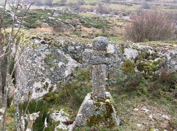 Trail Walking Recoules-d'Aubrac - Pont gourmier Recoules Nasbinals Le Bes - Photo