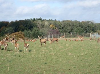 Randonnée V.T.T. Namur - Circuit des fermes de Hesbayes - Photo