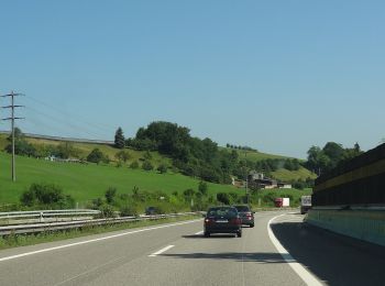 Percorso A piedi Läufelfingen - Läufelfingen - Ober Diegten - Photo