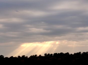 Tocht Stappen Le Thoronet - SityTrail - Abbayie de Torronet - Photo