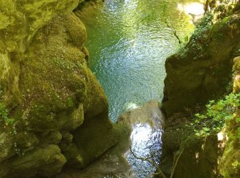 Trail On foot Salins-les-Bains - SALIN LES BAINS - GOUR DE CONCHE - Photo