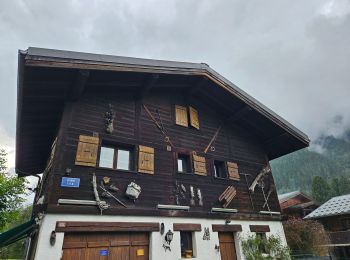 Trail Walking Chamonix-Mont-Blanc - J8 - Cascade du Dard - Photo