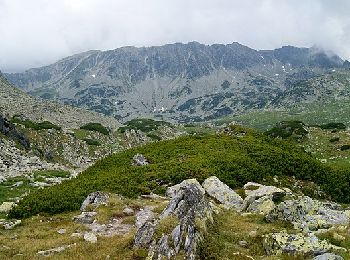 Percorso A piedi Sconosciuto - Lunca Berhina - Crucea Trăznitului - Lacul Bucura - Photo