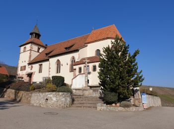 Tour Wandern Dambach - Traversée du massif du Bernstein - Photo