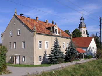 Percorso A piedi Ottendorf-Okrilla - Gelber Strich 