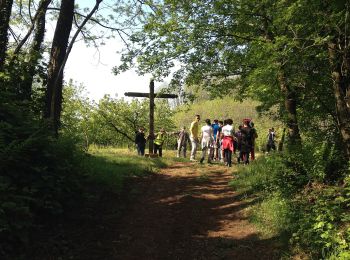 Tour Zu Fuß Roncà - B - Photo