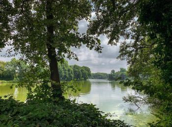 Tocht Te voet Nettetal - Rundweg A3 Nettebruchsee - Photo