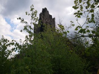 Randonnée Marche Bogny-sur-Meuse - sentier nature - Photo