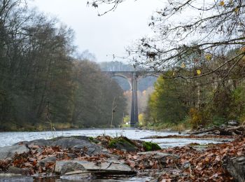 Trail Walking Herbeumont - RB-Lu-23_Herbeumont_via-racc-1-et-var - Photo