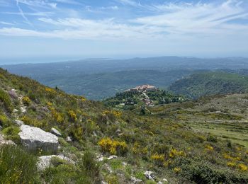 Tocht Stappen Le Bar-sur-Loup - Le Bar sur Loup Gourdon Barre et plateau de Cavillore réel - Photo