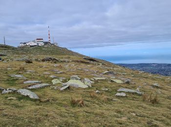 Trail Walking Bera - LaRhune par col lizuniaga - Photo