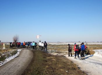 Trail On foot Amsterdam - Groene Wissel: Amsterdam-CS - Photo