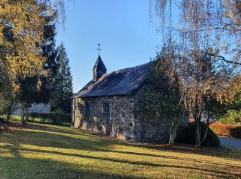Trail Walking Lierneux - rando reharmont 6/11/2020 - Photo