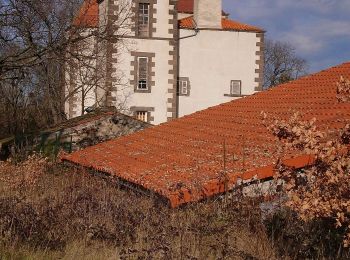 Trail Walking Malauzat - Le Chancet les Ratiers  - Photo