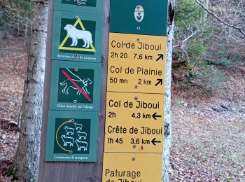 Tocht Stappen Châtillon-en-Diois - le sommet serre du beau puy - Photo