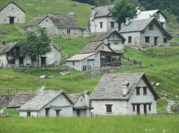Percorso A piedi Malesco - P16 - Alpe Scaredi - Pizzo Stagno - Photo