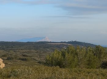 Randonnée Marche Coudoux - Coudoux - Photo