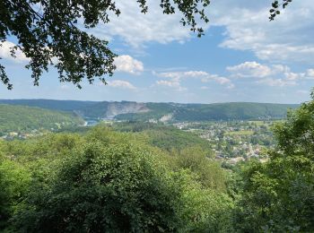 Randonnée Marche Profondeville - De Lustin à Namur par le GR126 - Photo