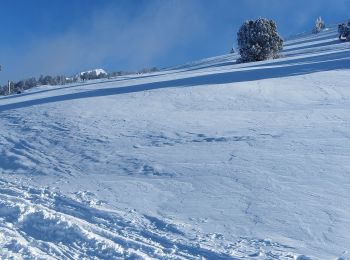 Tour Schneeschuhwandern Corrençon-en-Vercors - depart closde la balme - Photo