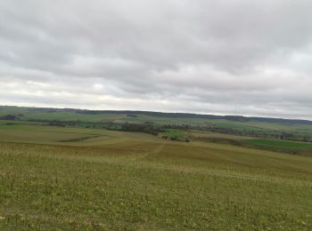 Randonnée Marche Mesnil-Follemprise - mesnil follemprise - Photo