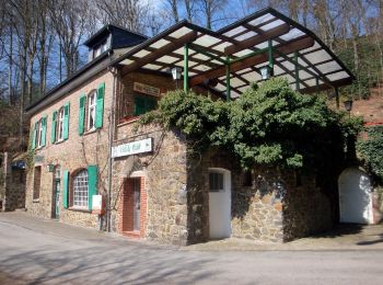 Percorso A piedi Leichlingen - Naturfreundeweg Leverkusen - Photo