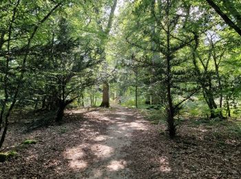 Randonnée Marche Ouzouer-sur-Loire - Ouzouer sur Loire 45 les sources  - Photo