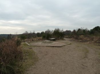 Excursión A pie Maasmechelen - Mechels Bos Oranje bol - Photo