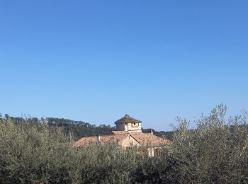 Excursión Senderismo Gravières - Gravières / le Chassezac - Photo