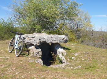 Trail Mountain bike Lissac-sur-Couze - lac du causse, circuit 8 - Photo