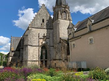 Randonnée Marche Dissay - Voie de Tours - 11 06 2024 - Photo