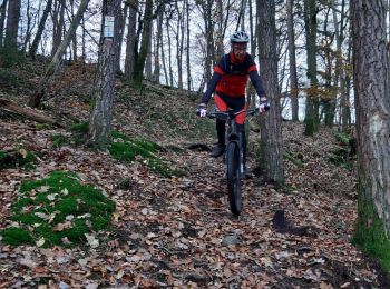 Excursión Bici de montaña Neufmanil - 20191122 vttae Focus départ Neuneu casse derailleur - Photo