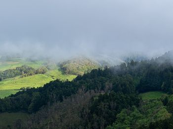 Tour Zu Fuß Santa Bárbara - PRC2SMA Pico Alto - Photo